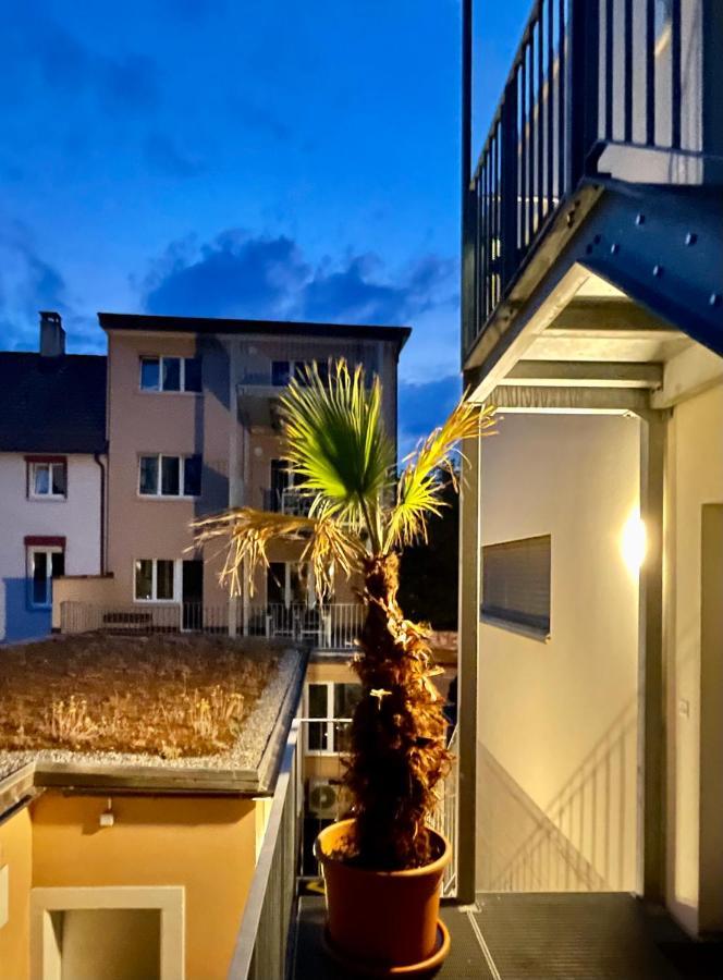 Good Night Apartments Binningen Exterior foto